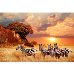 Glasschilderij zebra's met zonsondergang 0801203D-010