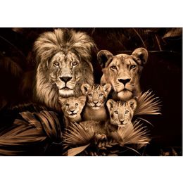 Glasschilderij Leeuwenfamilie GLAS080120-675