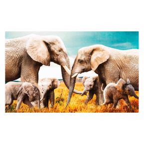 Schilderij Elephant Family 003