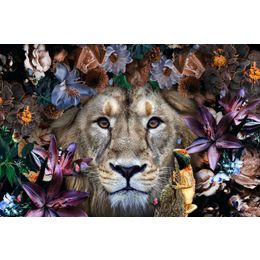 Glasschilderij Leeuw tropisch 080120-750