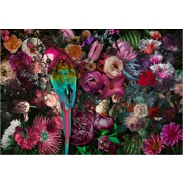 Glasschilderij Papegaai met bloemen 080120-604