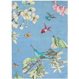 Vloerkleed Blue 37808 Hummingbird | Wedgwood Home