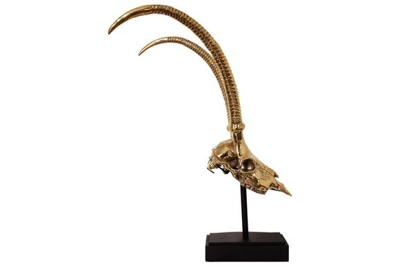 Deco H13 Gazelle Skull