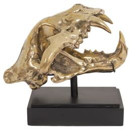 Deco H18 Lion Skull