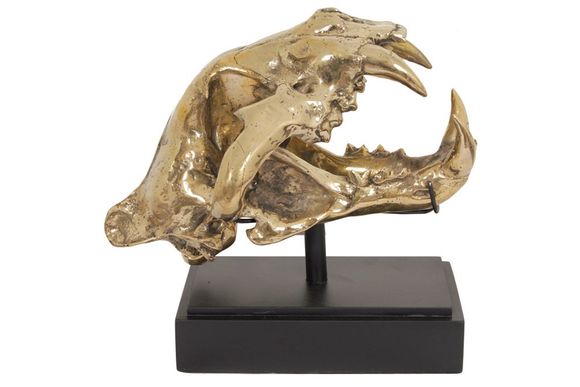 Deco H18 Lion Skull