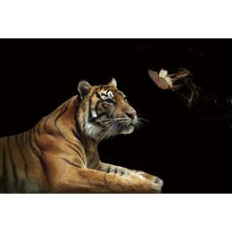 Glasschilderij tijger en vlinder 080120-716