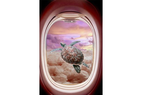 Glasschilderij schildpad boven de wolken 080120-751
