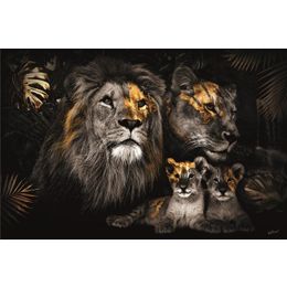 Glasschilderij Leeuwenfamilie 080120BS-622