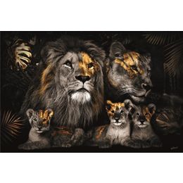 Glasschilderij Leeuwenfamilie 080120BS-623