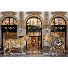 Glasschilderij Prada en Jaguars 080120C-792