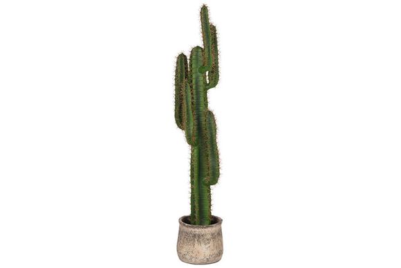 Kunstplant Cactus DS-54.004