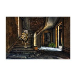 Schilderij Urban Lion