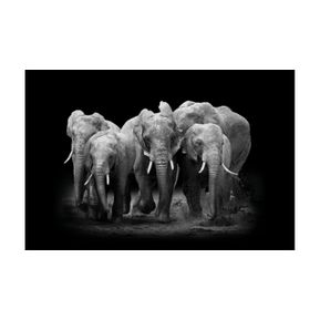 Schilderij Elephant On Dark Background Mat