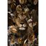 Glasschilderij Leeuw met kempvissen 080120-642