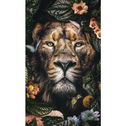 Schilderij Lion 005