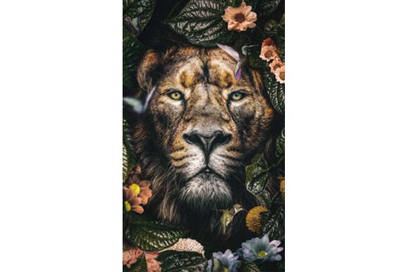 Schilderij Lion 005
