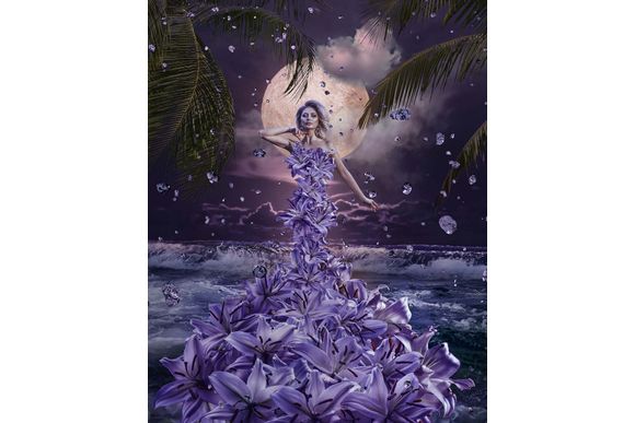 Schilderij Blossoming Night Dibond Fairytale