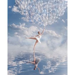 Schilderij Dreamy Ballet Dibond Fairytale
