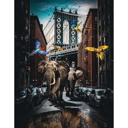 Schilderij Elephants in Brooklyn Dibond Animals in the city