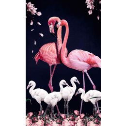 Schilderij Flamingo Family - dibond