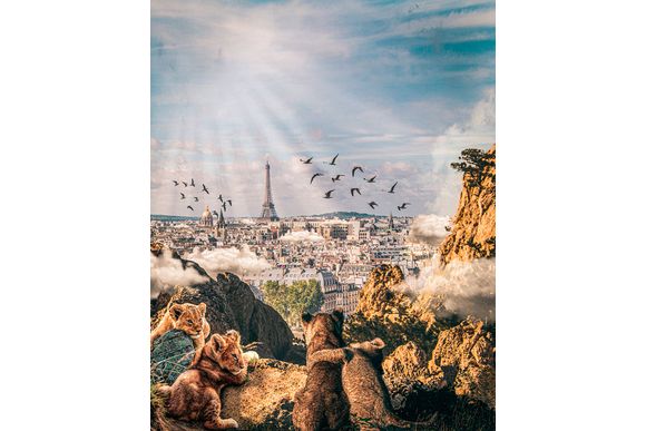 Schilderij Jungle in Paris Dibond Animals in the city