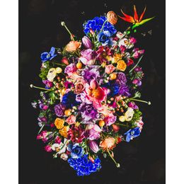 Schilderij Prismatic Petals Dibond Flower Bomb