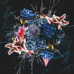 Schilderij Sapphire Bloom Dibond Flower Bomb