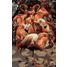 Glasschilderij flamingo's 080120-713