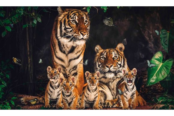 Schilderij Tiger Family - glas