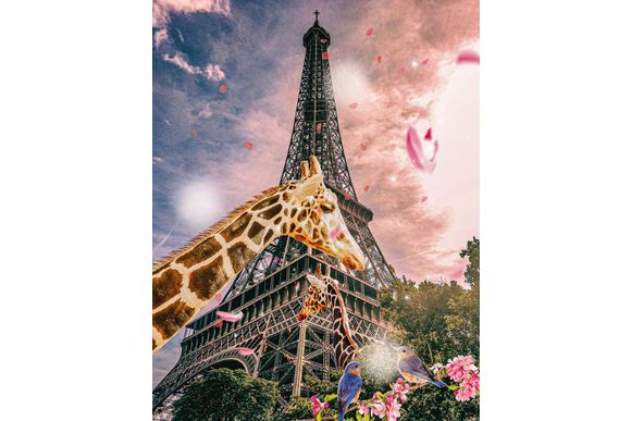 Schilderij Trip to Paris Dibond Animals in the city