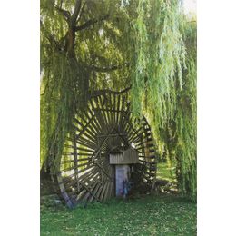 Schilderij Watermill Tree
