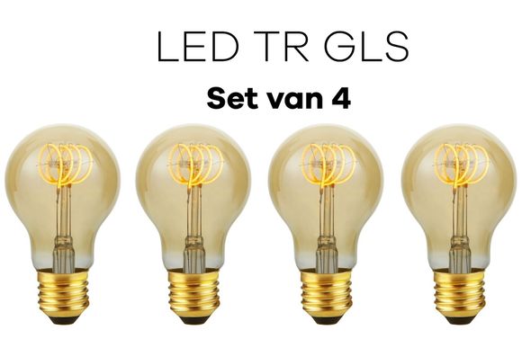 Lichtbronpakket 4 x LED E27 TR GLS