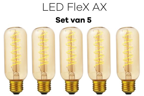 Lichtbronpakket 5 x LED E27 FleX AX