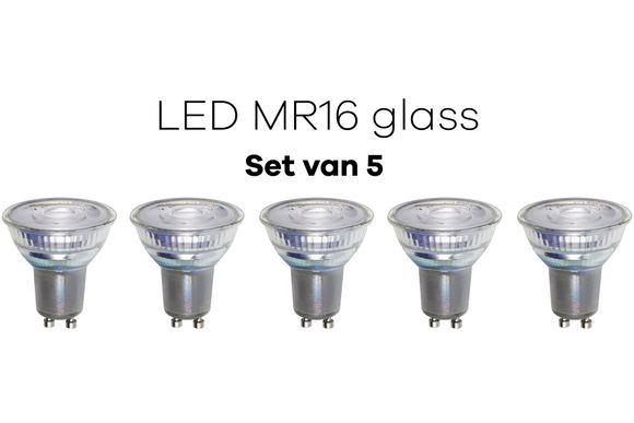 Lichtbronpakket 5 x LED G10 MR16 glass 