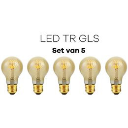 Lichtbronpakket 5 x LED E27 TR GLS