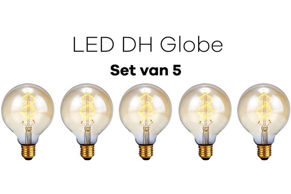 Lichtbronpakket 5 x LED E27 DH Globe