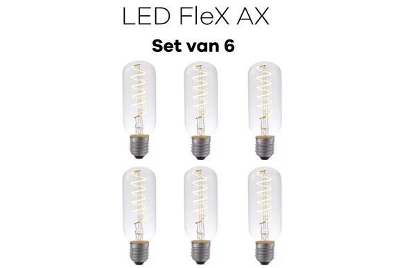Lichtbronpakket 6 x LED E27 FleX AX 