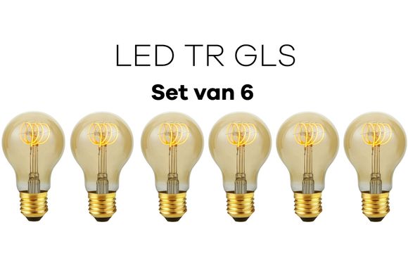 Lichtbronpakket 6 x LED E27 TR GLS