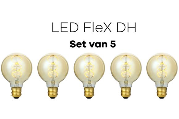 Lichtbronpakket 5 x LED E27 FleX DH