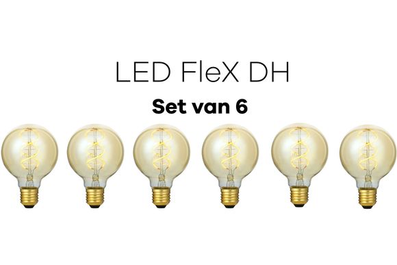 Lichtbronpakket 6 x LED E27 FleX DH