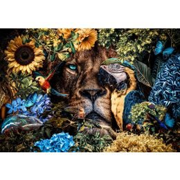 Schilderij Lion Parrot Dibond Jungle