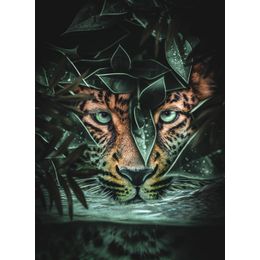 Schilderij Swimming Leopard Dibond Jungle