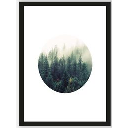 Art Print Contemporary Forest
