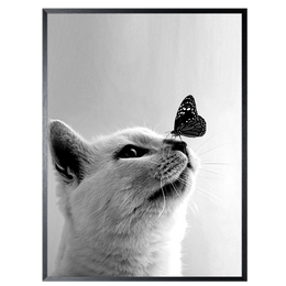 Art Print Butterfly Cat SHJ973