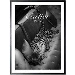 Art Print Cartier Luipaard Zwart-wit FA-143B
