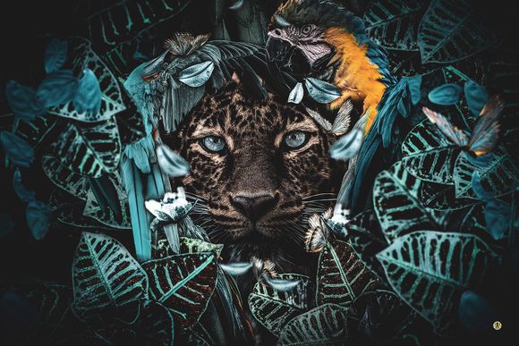 Schilderij Blue Eyed Panther Dibond Jungle