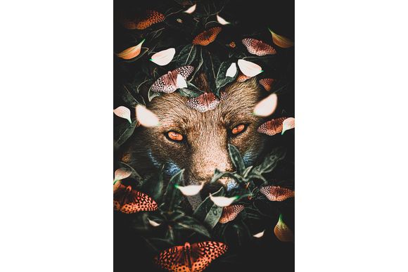 Schilderij Hidden Fox Dibond Jungle